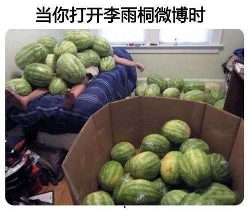 今日吃瓜--今日大赛,吃瓜群众狂欢盛宴
